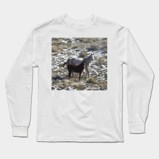 Wild horses, wildlife, gifts, desert, Arizona Long Sleeve T-Shirt